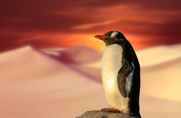 "From Policy to Action: Climate Change Laws Worldwide