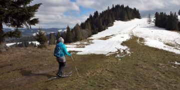 Global Warming and Biodiversity Crisis: How Rising Temperatures Threaten Wildlife Survival