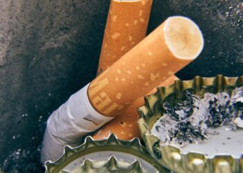 Everyday Practices That Damage the Environment