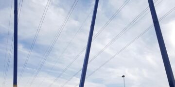 Exploring the Impact of Climate Change Policies