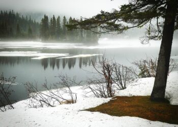 Understanding Global Warming: Essentials for Beginners