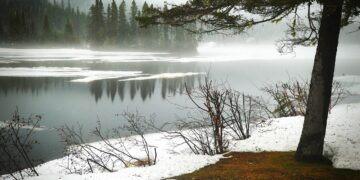 Understanding Global Warming: Essentials for Beginners