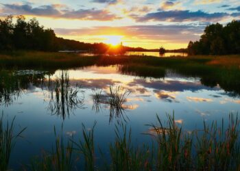 Understanding Global Warming: Essential Facts for Students