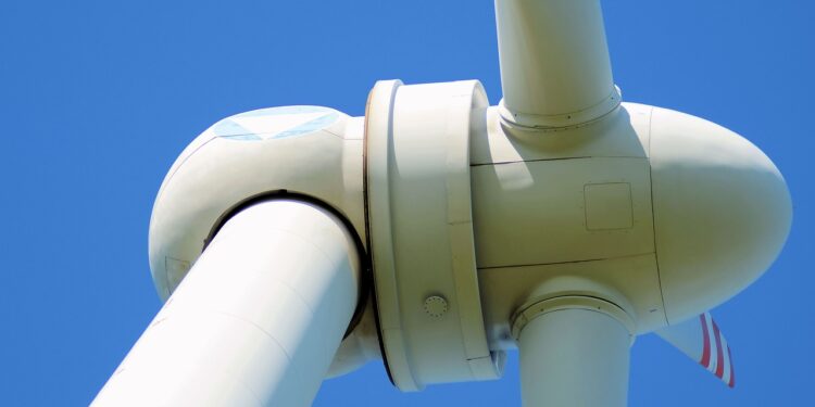 Building a Brighter Future: Exploring Student-Led Renewable Energy Projects