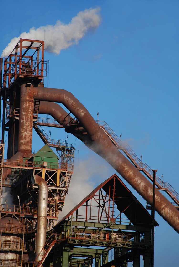 Smoke and Shadows: The Silent Impact of Air Pollution on Global Ecosystems