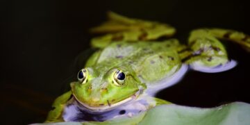 Eco-Friendly Buying: Unveiling the Benefits of Sustainable Shopping Choices