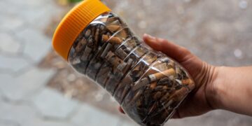 Climate Crisis Intensifies: Worldwide Struggles and Solutions