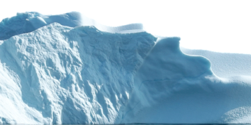 Climate Action Now: Simple Tips for Reducing Your Carbon Footprint