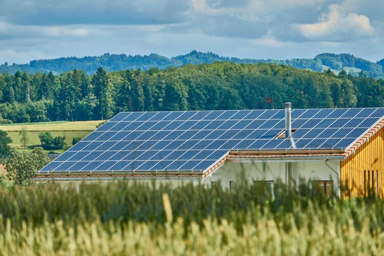 Revolutionizing Rural Energy: The Rise of Small-Scale Wind Power