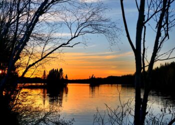 Green Innovations: Everyday Changes to Cool the Earth