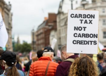 Integrating Sustainability: The Future of Climate Policy in Corporate Strategy