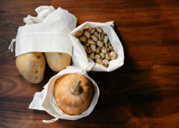 Green on Your Plate: Exploring the Impact of Sustainable Food Choices