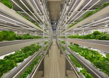 Exploring the Impact of Latest Green Tech Trends on Sustainable Living