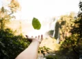 Unlocking the Secrets: How to Reduce Your Carbon Footprint with These Sustainable Practices