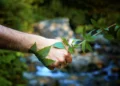 Unlocking the Secrets: How to Reduce Your Carbon Footprint with These Sustainable Practices