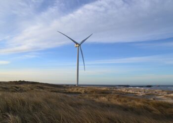 Innovative Learning: Exciting Renewable Energy Projects for Students