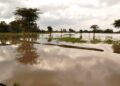 Navigate Through Science: Easy Guide to Global Warming Articles for Beginners