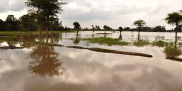 Navigate Through Science: Easy Guide to Global Warming Articles for Beginners