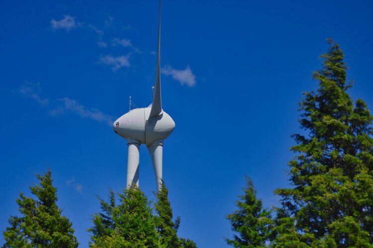 Green Showdown: Solar vs Wind Energy – Which is Better for the Planet?