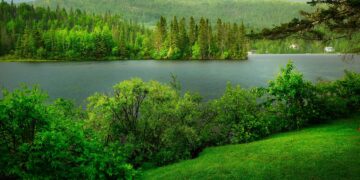 Why Your Community Needs a Strong Climate Action Plan Now