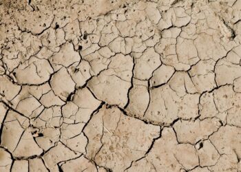 Exploring the Science Behind What Causes Global Warming: A Comprehensive Guide