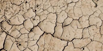 Exploring the Science Behind What Causes Global Warming: A Comprehensive Guide