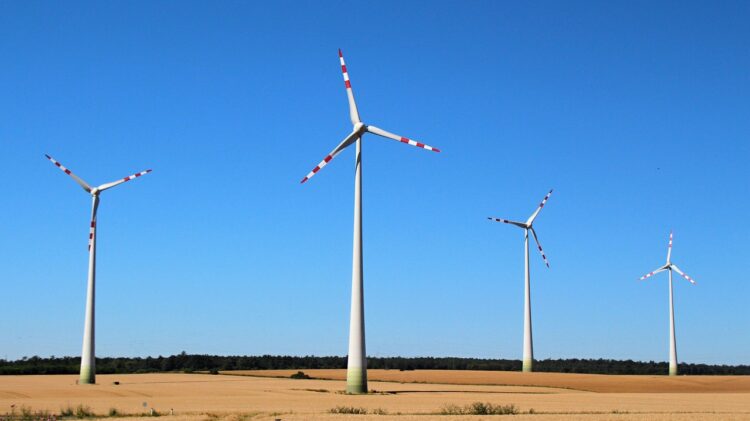 Step-by-Step Guide to Green Energy Solutions for Beginners