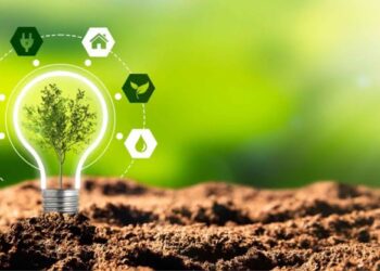 Unlocking the Secrets: How to Reduce Your Carbon Footprint with These Sustainable Practices