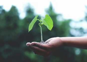 Harnessing Green Power: How Eco-Friendly Innovations 2025 are Revolutionizing Energy