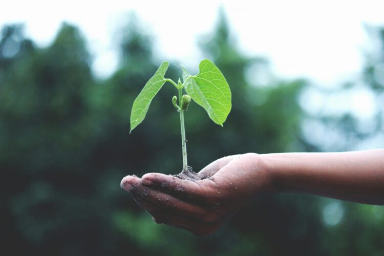 Harnessing Green Power: How Eco-Friendly Innovations 2025 are Revolutionizing Energy
