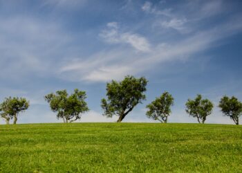 Unlocking A Greener Tomorrow: Simple Sustainable Living Tips for Everyday Life
