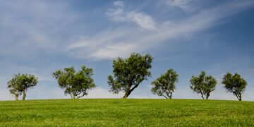 Unlocking A Greener Tomorrow: Simple Sustainable Living Tips for Everyday Life