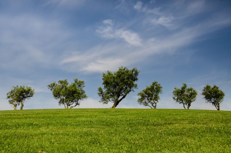 Unlocking A Greener Tomorrow: Simple Sustainable Living Tips for Everyday Life