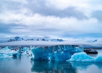 Understanding the Signs of Global Warming: A Complete Guide