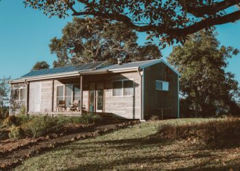 Creating a Sustainable Sanctuary: Top Eco-Friendly Home Ideas for the Modern Dweller
