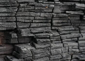 Making Sense of Your Bills: The Carbon Tax Explained Simply
