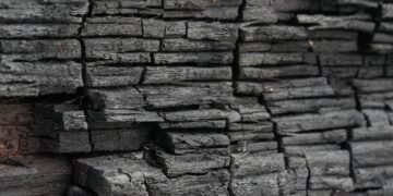 Making Sense of Your Bills: The Carbon Tax Explained Simply