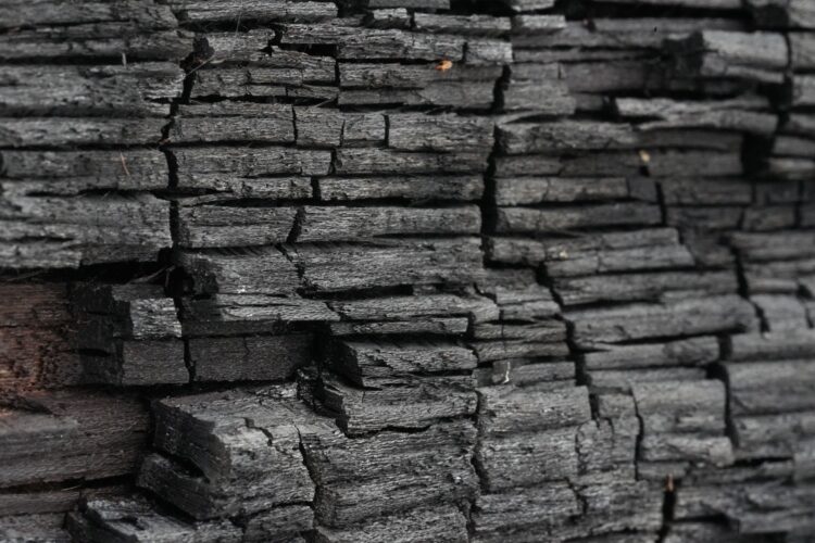 Making Sense of Your Bills: The Carbon Tax Explained Simply