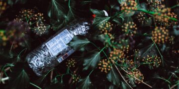 The Dire Impact of Deforestation on Climate Change: What You Need to Know