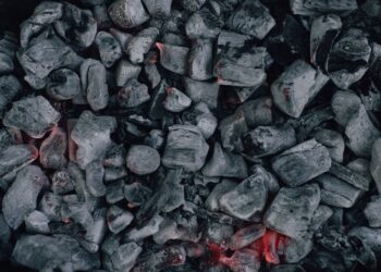 Clearing the Air: The Carbon Tax Explained Simply and Its Impact on the Environment
