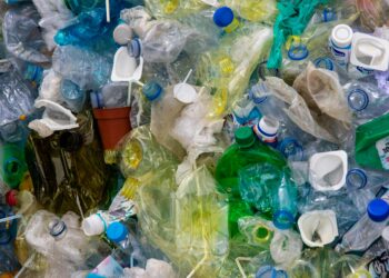 Beyond Pollution: The Wide-Ranging Environmental Impact of Plastic