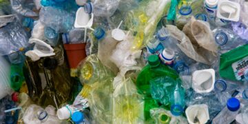 Beyond Pollution: The Wide-Ranging Environmental Impact of Plastic