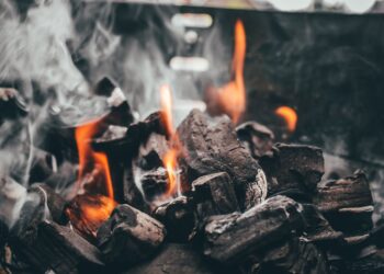 Unlocking the Mysteries: The Carbon Tax Explained Simply for Beginners