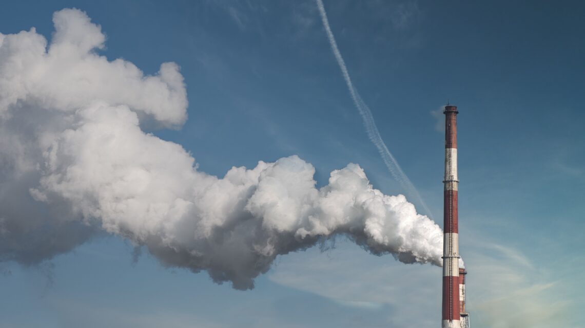 Unlocking the Secrets: How to Reduce Your Carbon Footprint with These Sustainable Practices