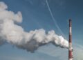 Unlocking the Secrets: How to Reduce Your Carbon Footprint with These Sustainable Practices