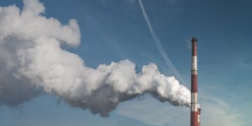 Unlocking the Secrets: How to Reduce Your Carbon Footprint with These Sustainable Practices