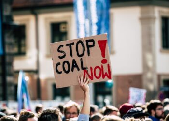 Unlocking the Secrets of International Climate Agreements: A Global Perspective