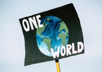 Unlocking Profit: Innovative Business Strategies Aligned with Climate Policy