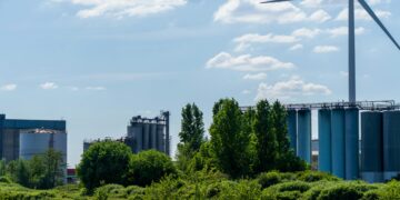 Unveiling the Human Impact on Environment: What You Need to Know