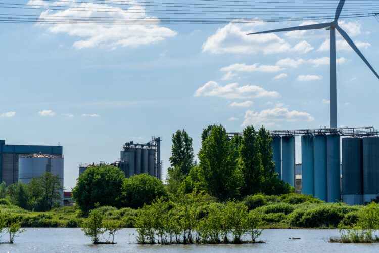 Unveiling the Human Impact on Environment: What You Need to Know